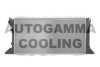 AUTOGAMMA 102089 Radiator, engine cooling